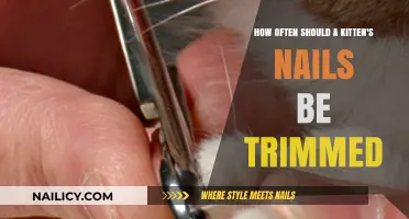 Trimming Your Kitten's Nails: How Often is Safe?