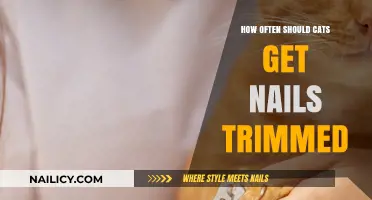 Purr-fectly Groomed: A Guide to Cat Nail Trimming Frequency