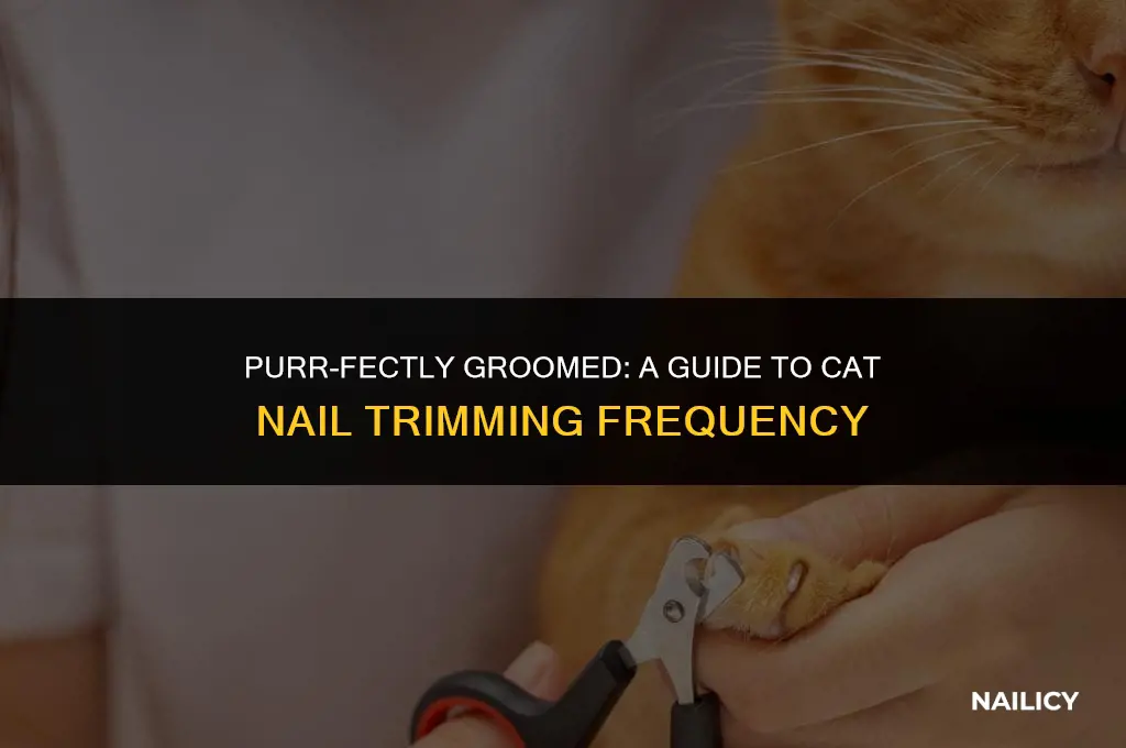 how often should cats get nails trimmed