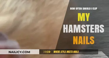 Hamster Nail Care: How Often to Trim for Happy Paws