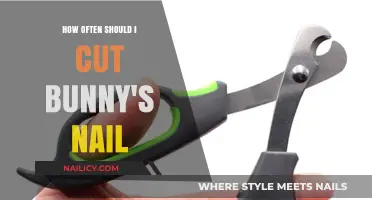 Bunny Nail Care: How Frequently Should You Trim?