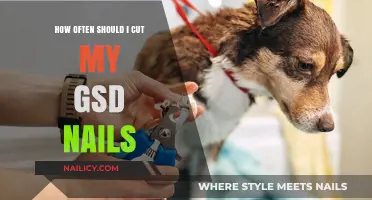 Trimming Your German Shepherd's Nails: How Often?