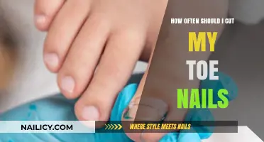 Toe Nail Cutting: How Frequently Should You Clip?