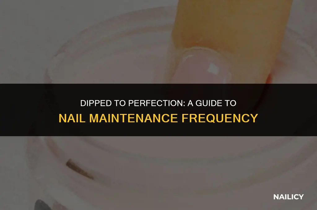 how often should i get my nails dipped