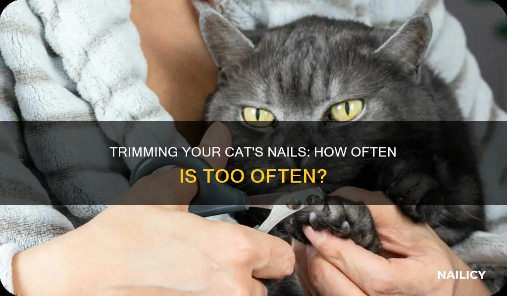 how often should i trim my cat