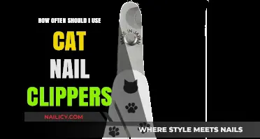 Purr-fectly Groomed: A Guide to Cat Nail Clipping Frequency