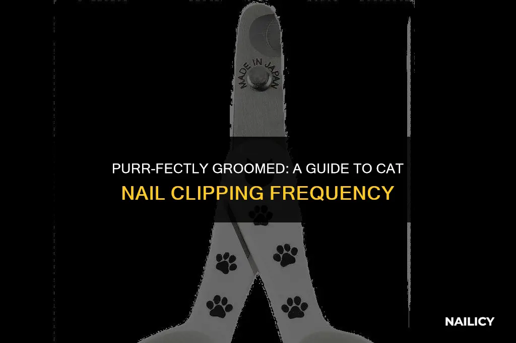 how often should i use cat nail clippers