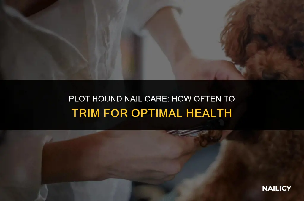 how often should my plott hounds nails get trimmed