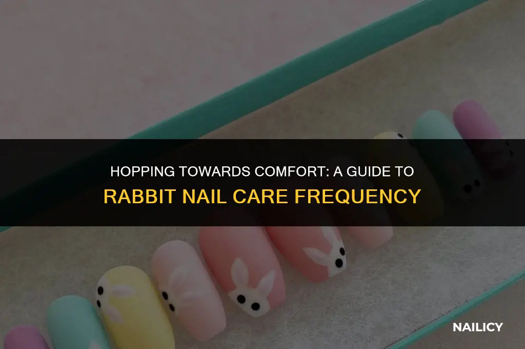 how often should rabbits get their nails cut