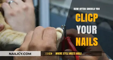 Perfect Nail Care: Ideal Frequency for Clipping Your Nails