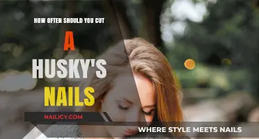 Trimming Your Husky's Nails: How Often?