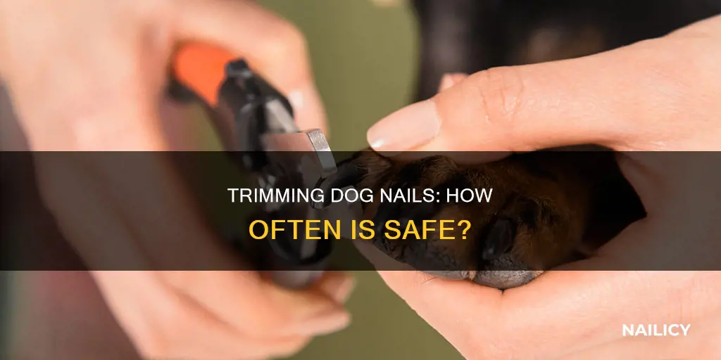 how often should you trim a dogs nails