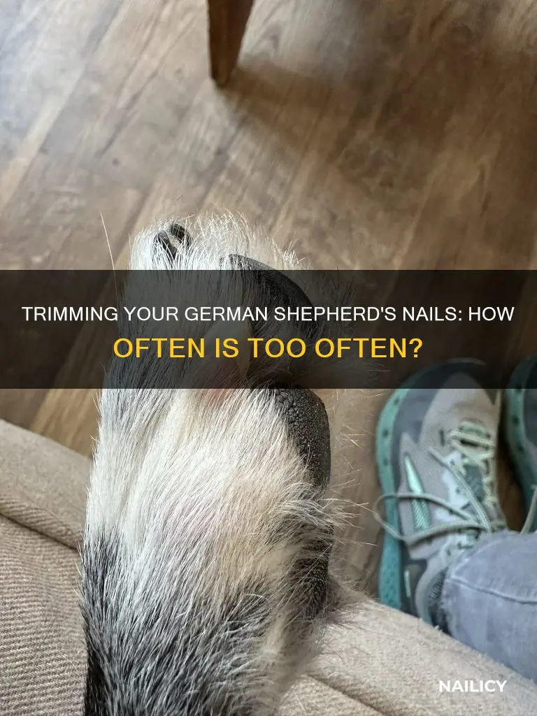 how often should you trim your german shepherds nails