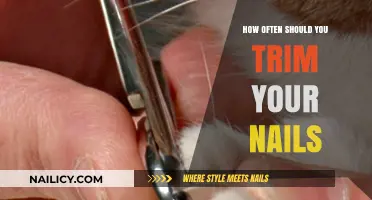 Trimming Nails: How Frequently Should You Clip?