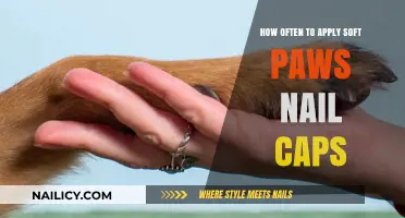 Soft Paws Nail Caps: Optimal Application Frequency for Your Pet's Comfort