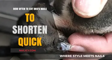 Trimming Dog Nails: Shortening the Quick