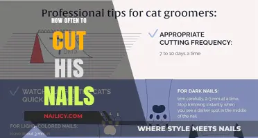 Keep Nails Trimmed: A Guide for Men