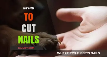 Keep Nails Trimmed: How Often to Cut?
