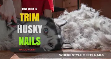 Trimming Nails: How Frequently for Huskies?