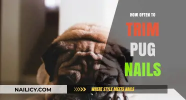 Trimming Your Pug's Nails: How Often is Safe?