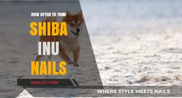 Trimming Nails: Shiba Inu Nail Care Guide