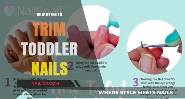 Toddler Nail Trimming: How Frequently Should You Cut?