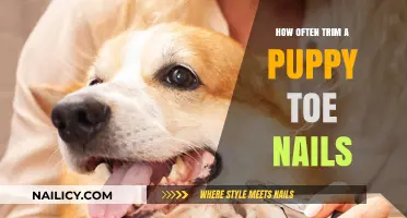 Trimming Your Puppy's Nails: How Often is Safe?