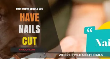 Trimming Dog Nails: How Often to Cut?