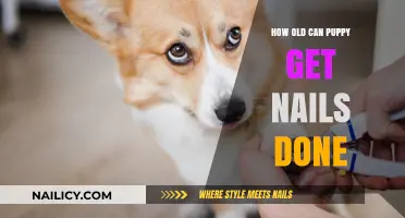Puppy Nail Care: The Right Age for a Paw-fect Pedicure