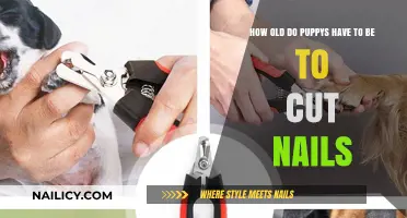 Puppy Nail Care: When to Start Trimming?