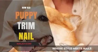 Puppy's First Manicure: Nail Trimming 101
