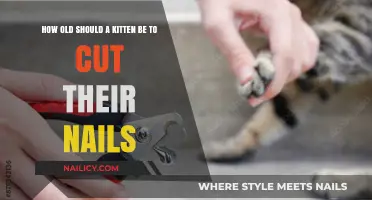 The Right Age to Cut Kitten Nails