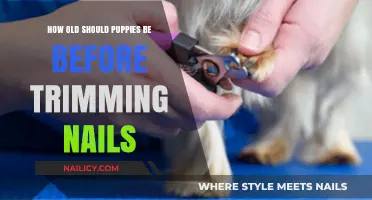 Trimming Nails: When to Start Grooming Your Puppy