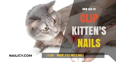 When and How to Safely Clip Your Kitten's Nails