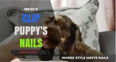 When to Clip Puppy Nails: A Guide for New Owners
