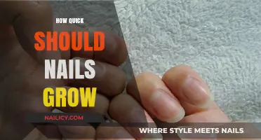 Nail Growth: How Fast Should Nails Grow?