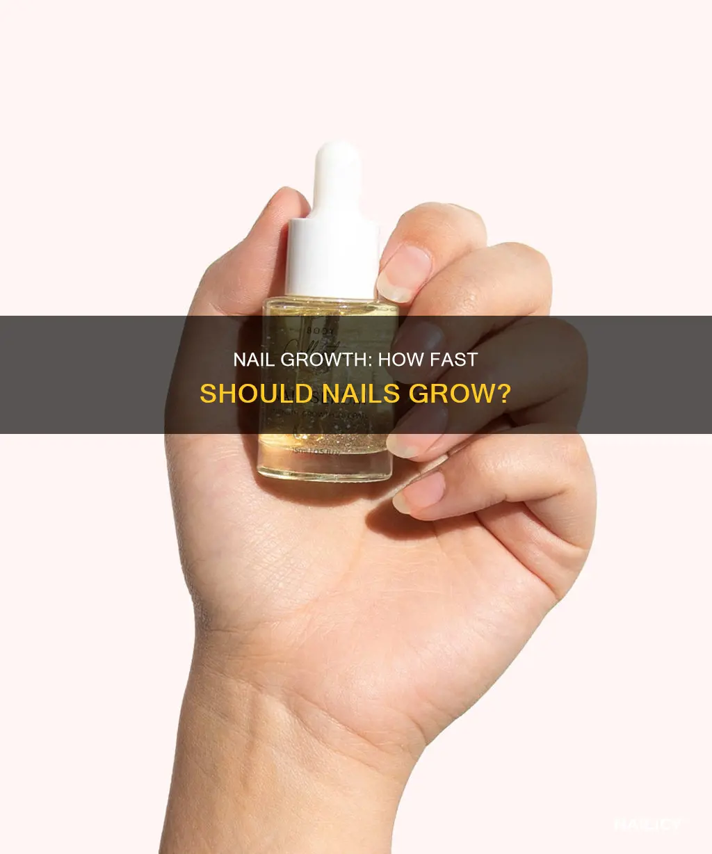 how quick should nails grow