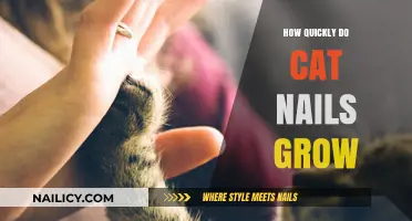 Cat Claw Growth: How Fast Do They Grow?