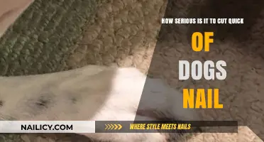 Trimming Dog Nails: A Delicate Balance