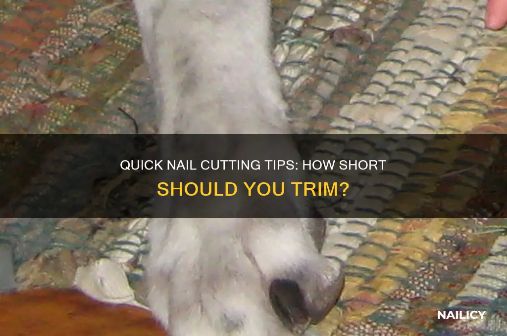 how sgort to xut nails