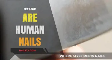 Unveiling the Surprising Strength and Sharpness of Human Fingernails