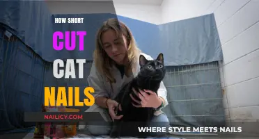 Trimming Cat Nails: A Quick Guide