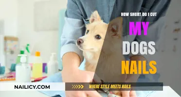 Trimming Dog Nails: The Ideal Short Length