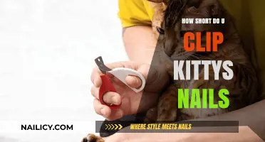 Purr-fectly Safe: How Short to Clip Your Kitty’s Nails