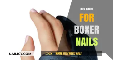 Ideal Boxer Nail Length: Trimming Tips for Healthy Paws