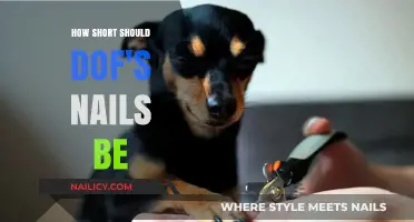 Perfect Dof Nail Length: Trimming Tips for Healthy Paws