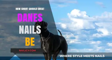 Perfect Nail Length for Great Danes: A Trimming Guide
