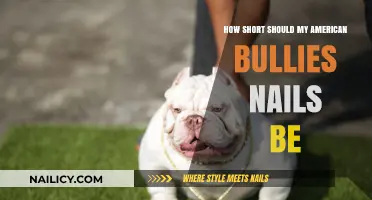 Perfect Nail Length for American Bullies: A Quick Grooming Guide