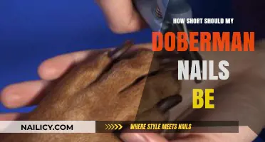 Perfect Doberman Nail Length: Trimming Tips for Healthy Paws