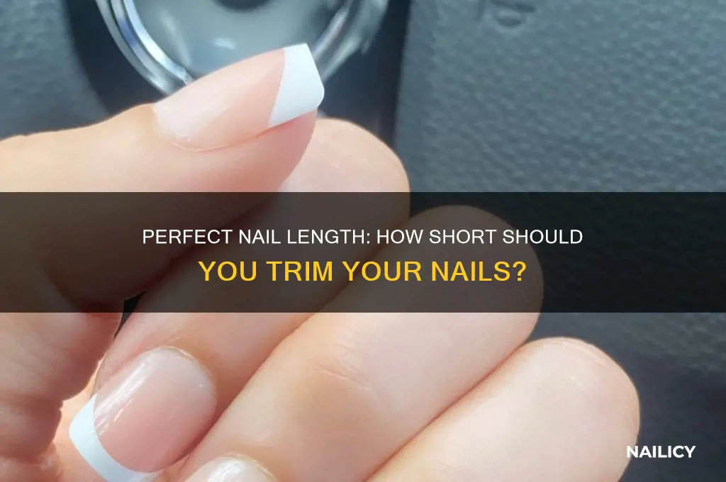 how short should you cu youur nails